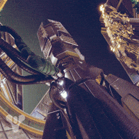 Destiny 2 Trials GIF by DestinyTheGame