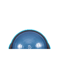 Fitness Workout Sticker by BOSU®