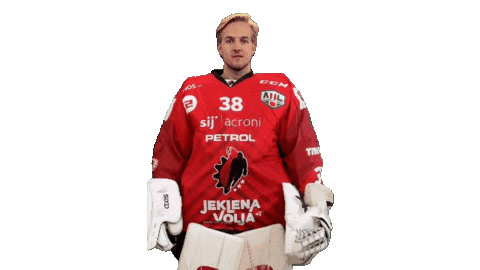 Oscar Sticker by HDD SIJ Acroni Jesenice
