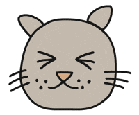 Cat Wink GIF by Thank You Coffee