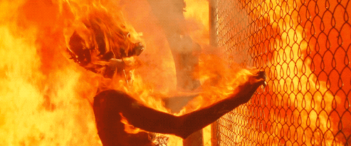 tvaziri giphyupload GIF