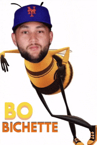 New York Mets GIF