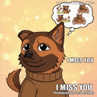 Miss You Love GIF by Doge Pound
