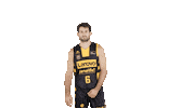 Vamos Lets Go Sticker by ACB