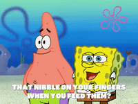 season 5 to love a patty GIF by SpongeBob SquarePants