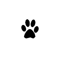 Dogs Wolf Sticker by Wolves of the Rockies