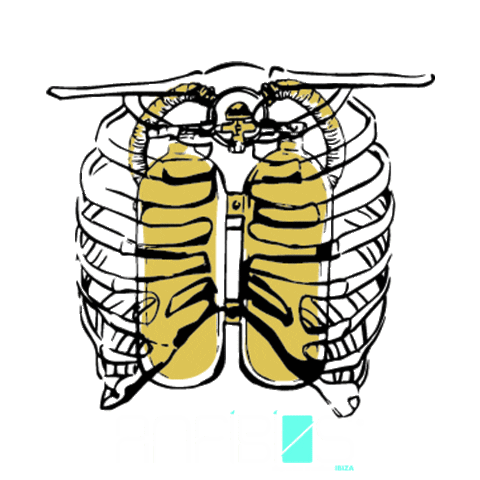 ANFIBIOSIBIZA diver anfibio divemaster owd Sticker