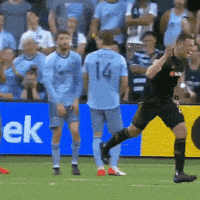 Los Angeles Football GIF by LAFC