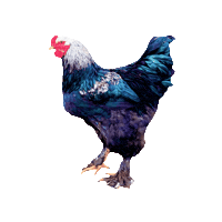 Happyhuhn Sticker