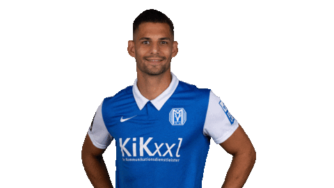 Emsland Sticker by SV Meppen 1912