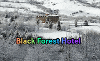 BlackForestHotel hotel motel otel hamam GIF