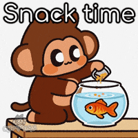 Fish Tank GIF by Chimpers