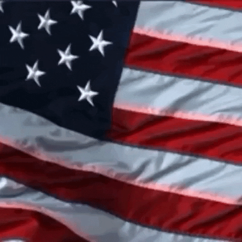 United States Usa GIF
