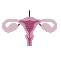 Uterus Exploding Sticker