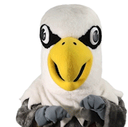 Go Eagles Uwl Sticker by UW-La Crosse