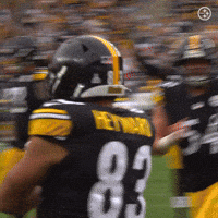 Excited Nfl GIF by Pittsburgh Steelers