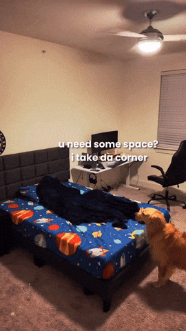 cuteanimalland giphyupload GIF