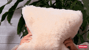 Watching Tv GIF by Gogglebox Australia