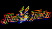 danburyhattricks hockey rabbit hat tricks GIF