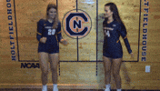cnvb 2018cnvb GIF by Carson-Newman Athletics