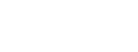 Year Novo Ano Sticker
