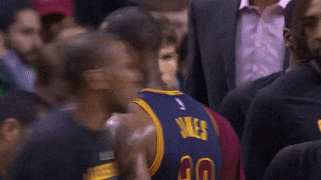 nba playoffs history GIF by NBA