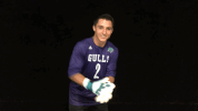 ecgulls  GIF