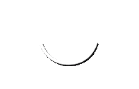 Savage Not Sorry Sticker by SAVAGE X FENTY