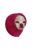 Dog Emoji Sticker