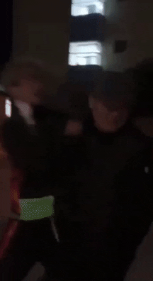 insight1 giphyupload GIF