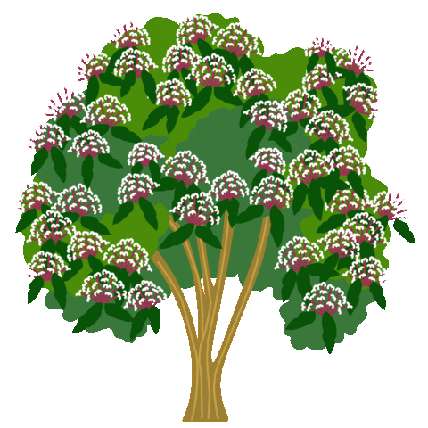 Tree Philippines Sticker