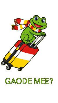 Carnaval Parade Sticker by Citygin