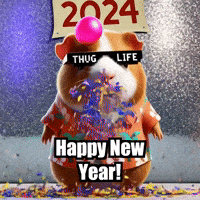 Happy New Year Nye GIF by Guinea Gambino