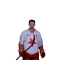 Hcslavia Sticker by HC SLAVIA PRAHA