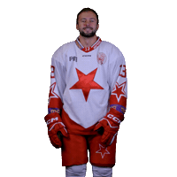 hcslaviapraha slavia slavia praha hc slavia praha hcslavia Sticker