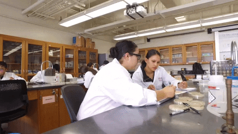 GIF by CSUEBScience