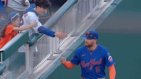 Brandon Nimmo Baseball GIF by New York Mets