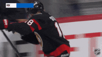 Happy Ottawa Senators GIF by NHL