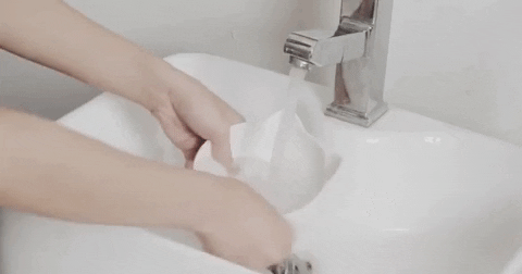 KittyNook giphyupload GIF