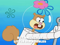 season 8 bubble troubles GIF by SpongeBob SquarePants