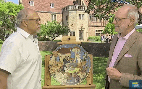 Weird GIF by ANTIQUES ROADSHOW | PBS