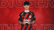 Eintracht Frankfurt GIF by Bundesliga