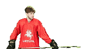 Hockey Sticker by ledoritulys.lt