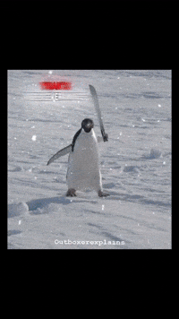 Perseverance GIF
