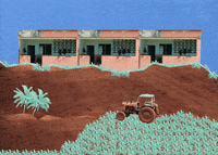 angyrecorta  GIF