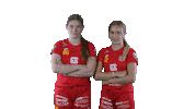 Sport Floorball Sticker by F-liiga