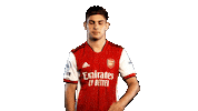 Celebrate Premier League Sticker by Arsenal