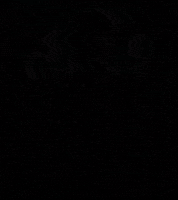 Feira De Santana GIF