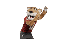 Washington State Mascot Sticker by WSU Pullman