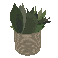 sociallightdesign illustration flower green plant Sticker